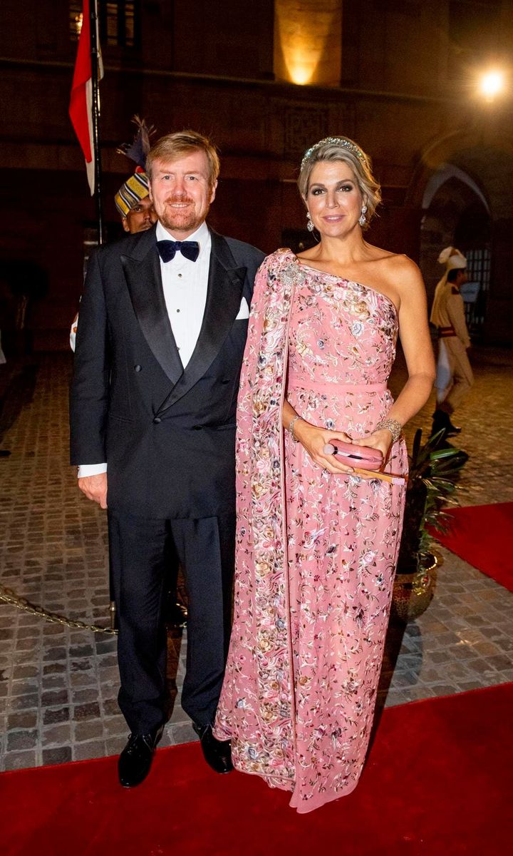 Queen Maxima looked regal at a state banquet in New Delhi on October 14