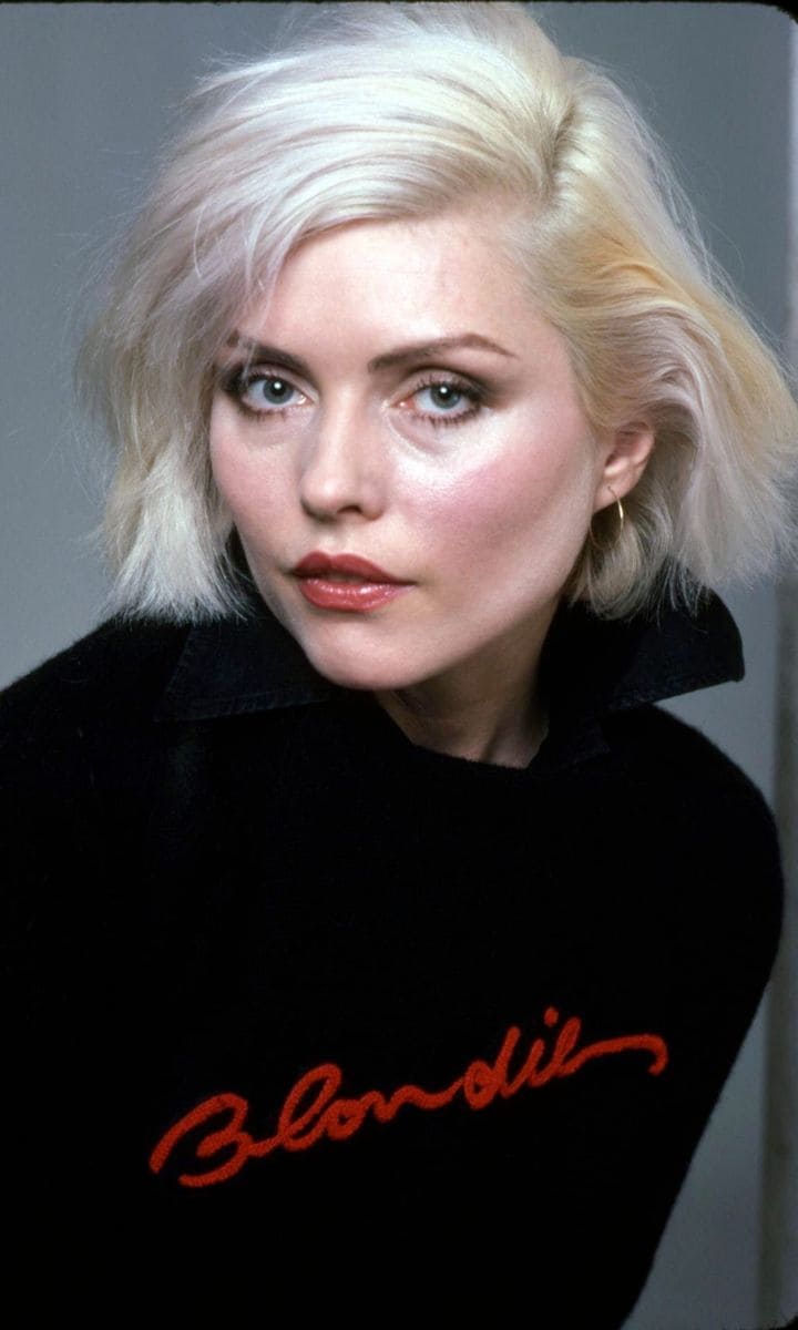 Portrait Of Debbie Harry