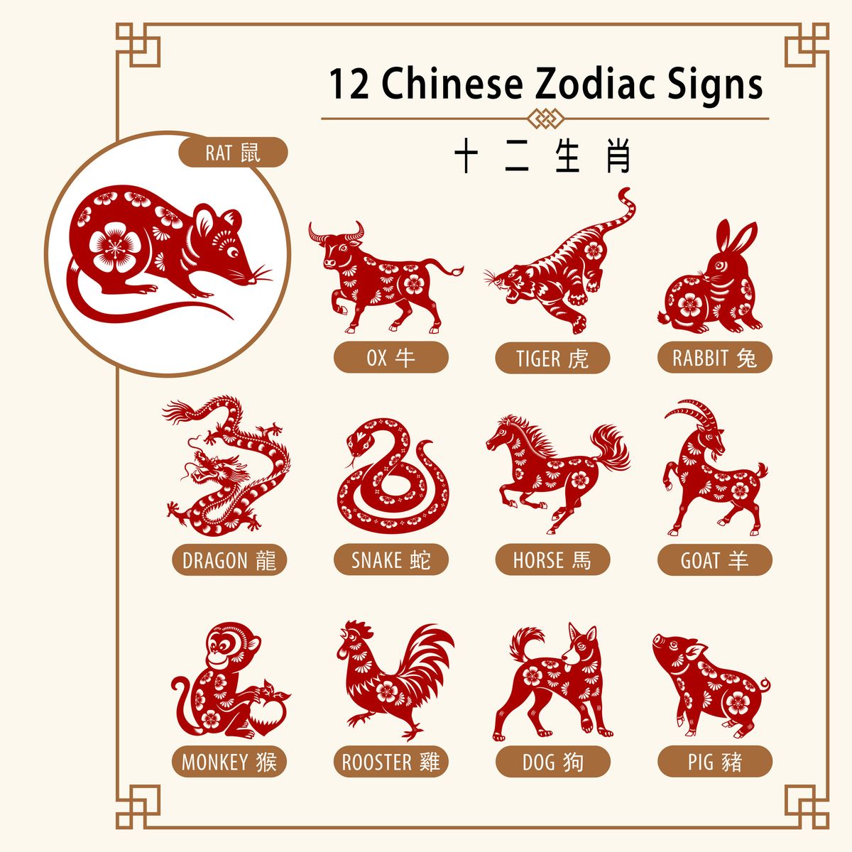 2025 Chinese Zodiac Signs set for success and those that may face