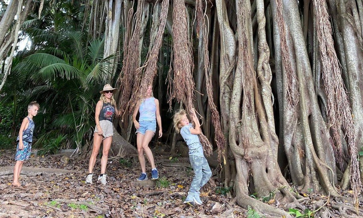 Árboles en Australia.