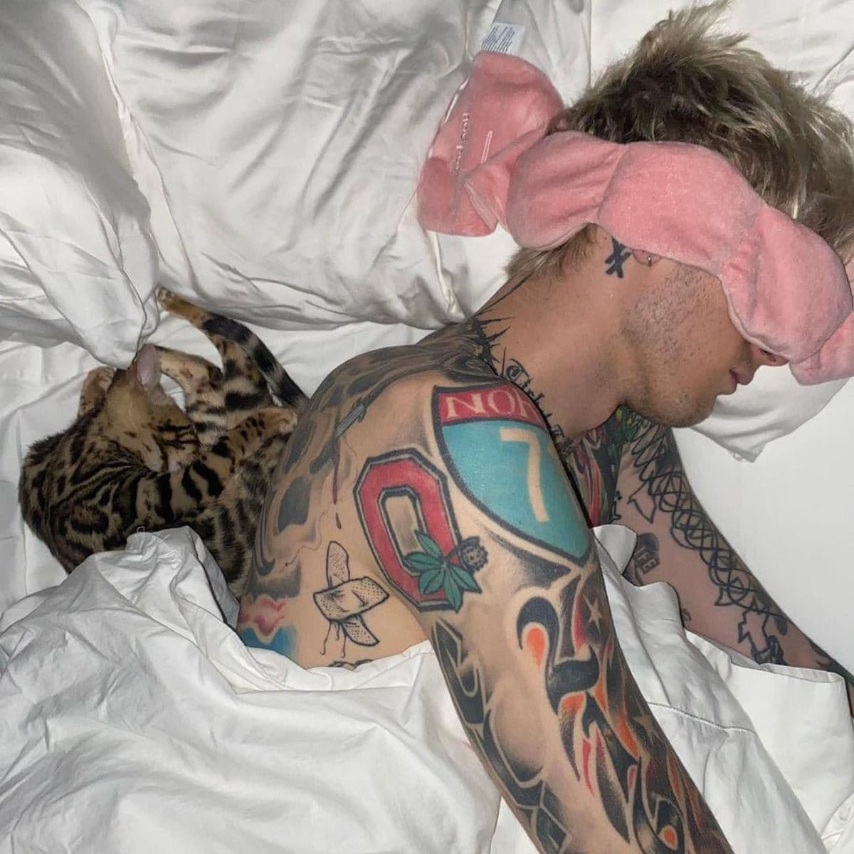 Megan Fox and MGK get a new cat