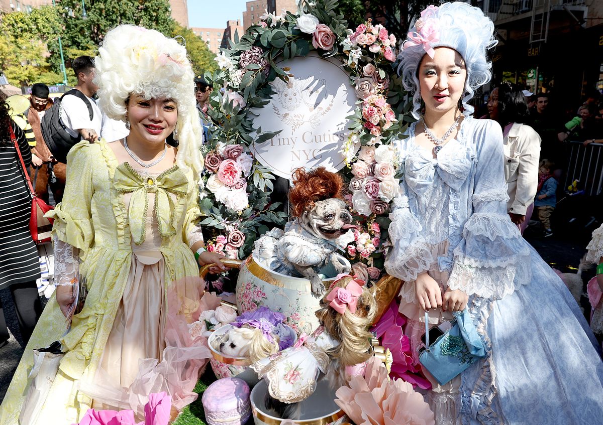 Marie Antoinette at the 34th Annual Tompkins Square Park Halloween Dog Parade