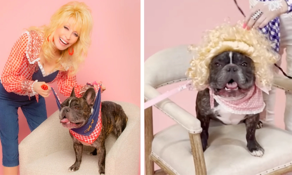 Doggy Parton