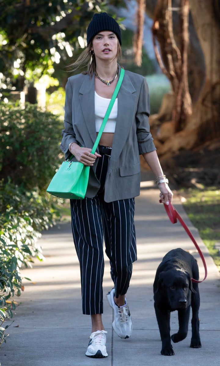 Alessandra Ambrosio walking her dog