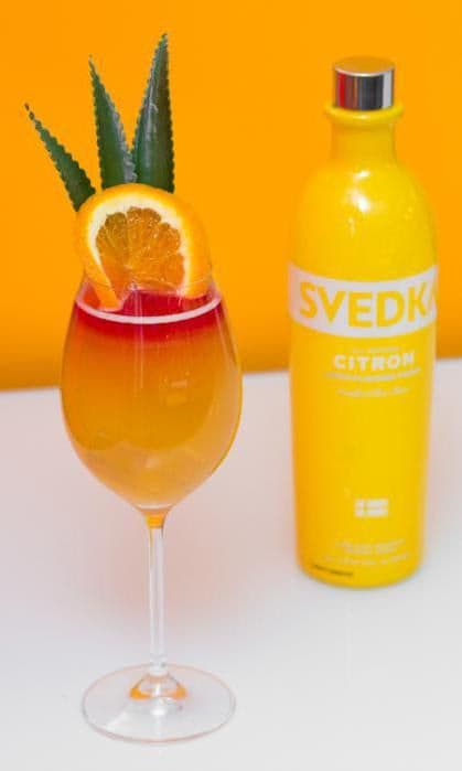 SVEDKA Vodka Rise & SHINE cocktail