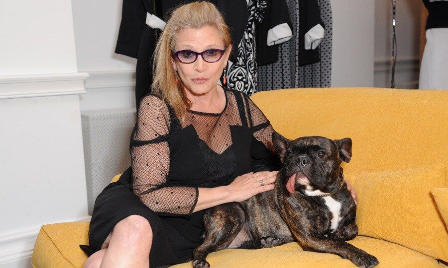 Carrie (photographed with her beloved French bulldog Gary) suffered from mental illness, particularly bipolar disorder. She once said, "living with manic depression takes a tremendous amount of balls. ... At times, being bipolar can be an all-consuming challenge, requiring a lot of stamina and even more courage, so if you're living with this illness and functioning at all, it's something to be proud of, not ashamed of."
Photo: David M. Benett/Getty Images for Marina Rinaldi