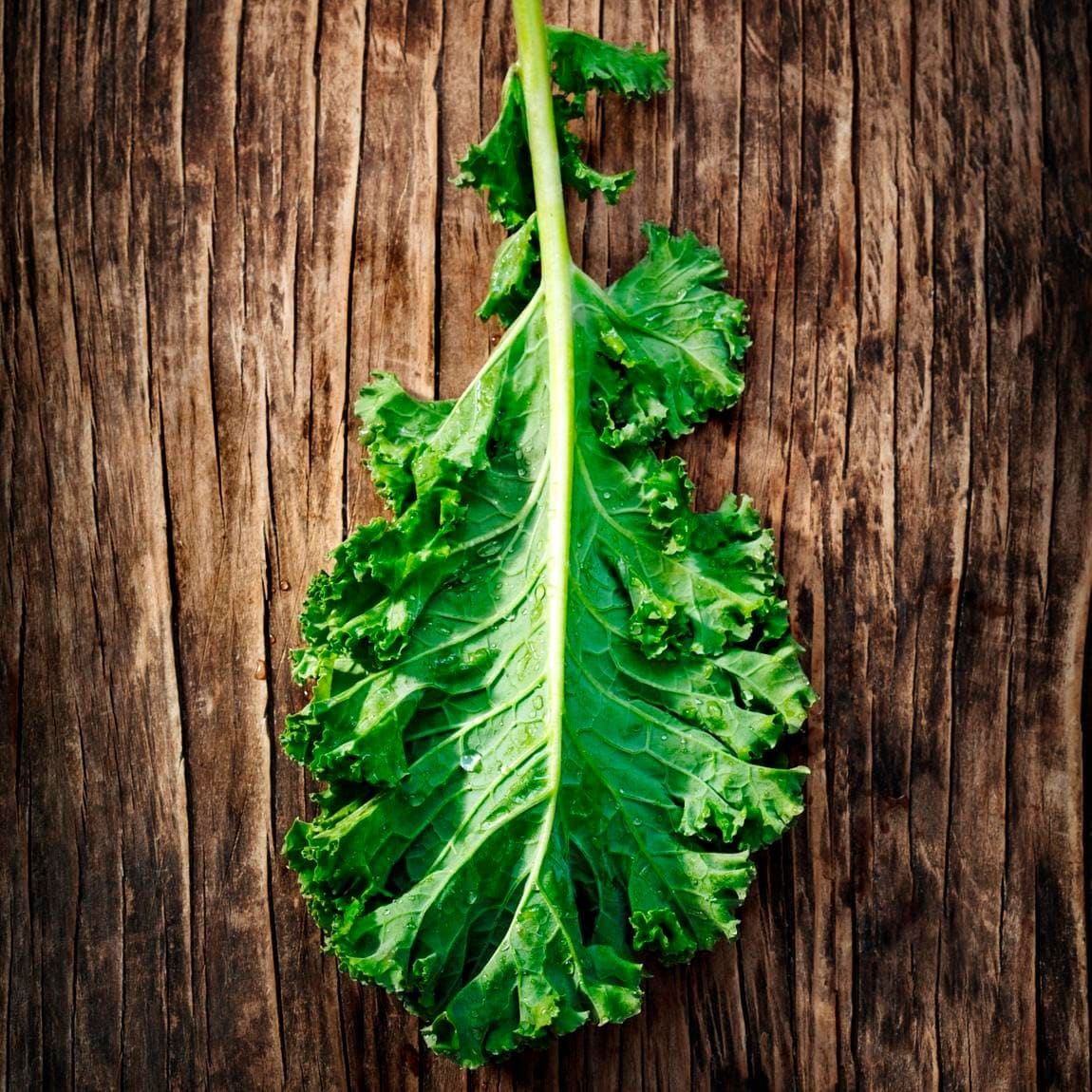 Fresh Green Kale Leaf on wooden background