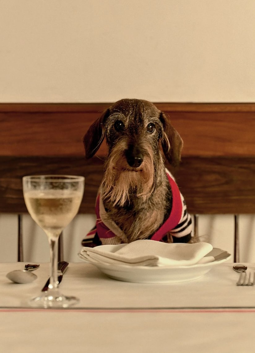 Thom Browne's fashion dinner in NYC