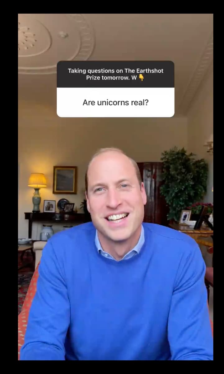 Prince William answered questions about The Earthshot Prize on Instagram