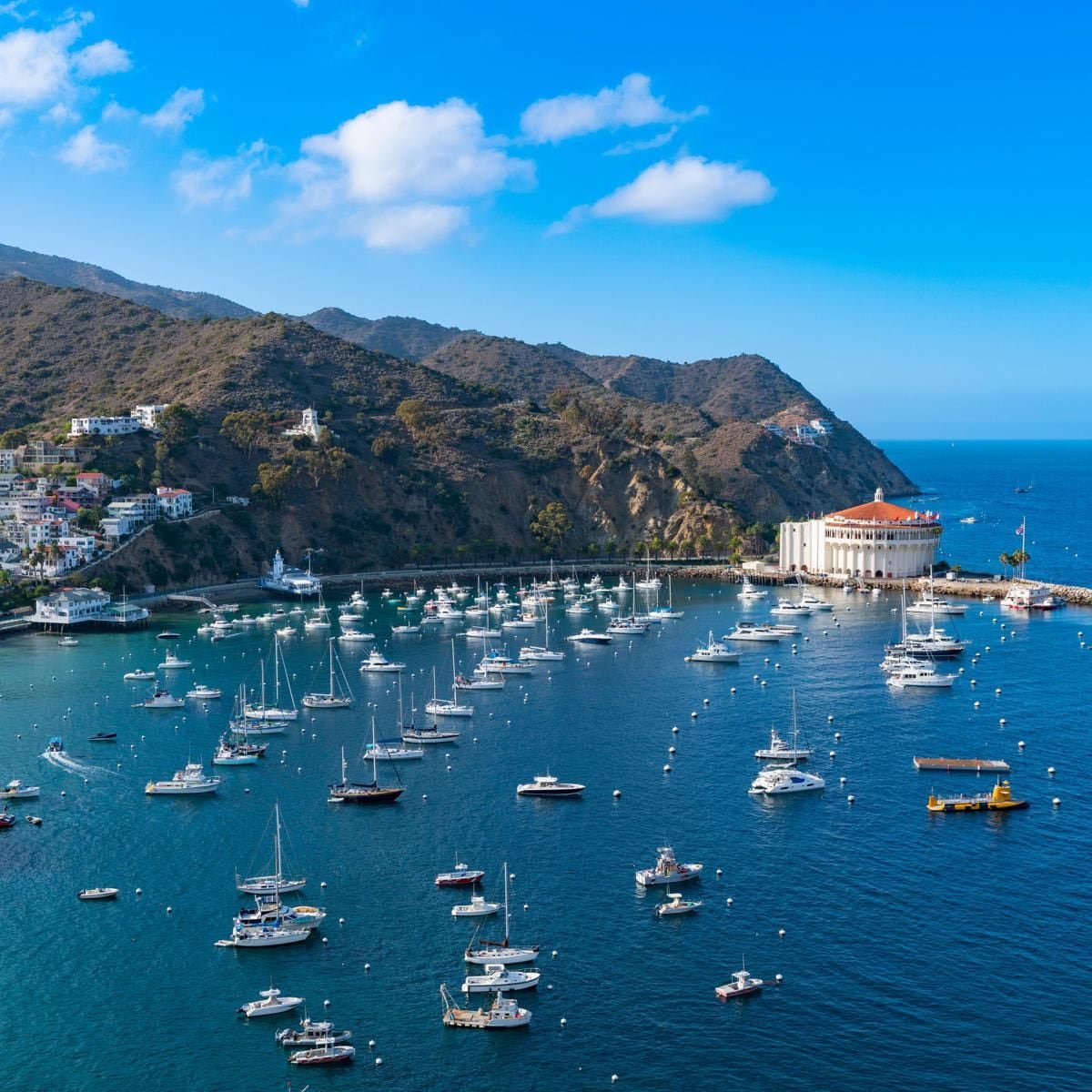 Catalina Island, California