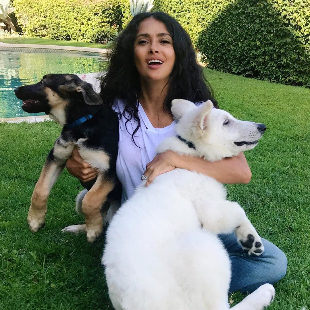 Salma Hayek poses with 2 dogs for National Dog Day