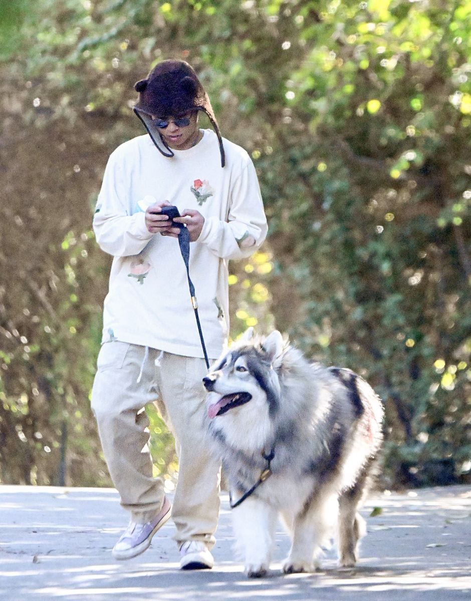 Pax Jolie takes his new dog for a walk in Los Angeles.