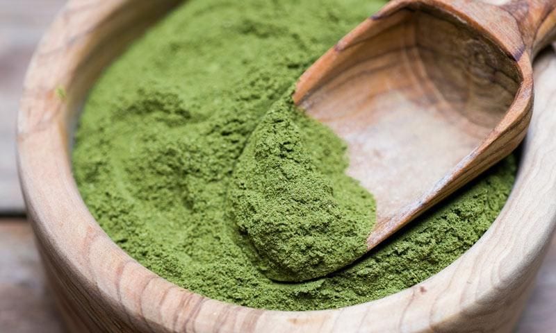 Moringa powder in wooden bowl