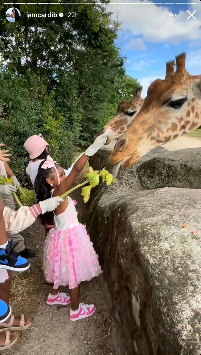 Cardi B celebrates daughter Kulture's sixth birthday with zoo trip and lavish dinner