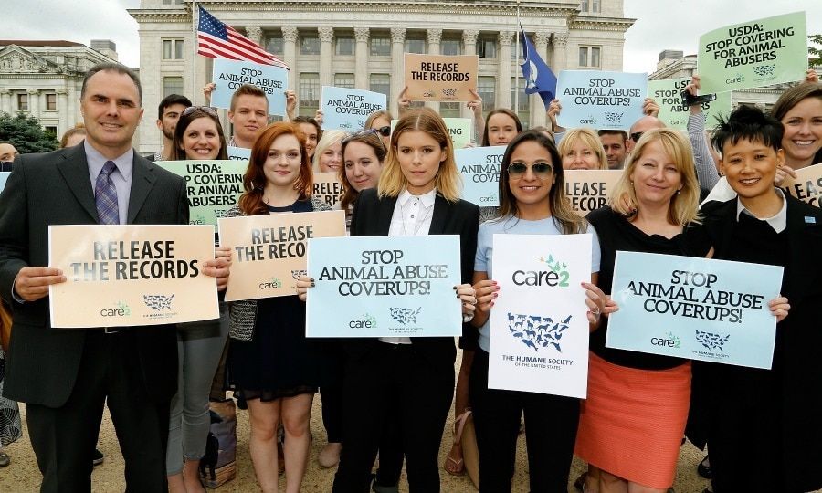 June 7: Kate Mara joined The Humane Society of the United States' rally at USDA in Washington, D.C.
Photo: Paul Morigi/Getty Images for The Humane Society of the United States