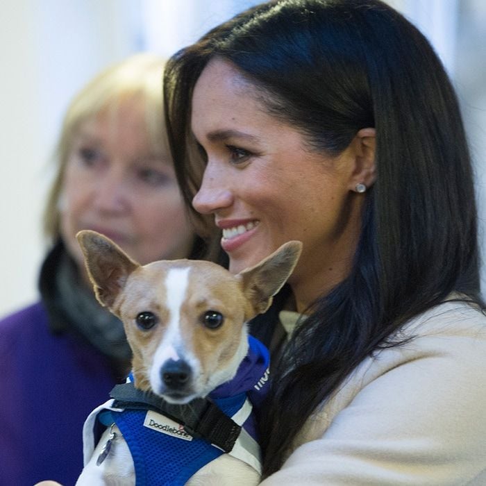 Meghan Markle Mayhew Charity visit