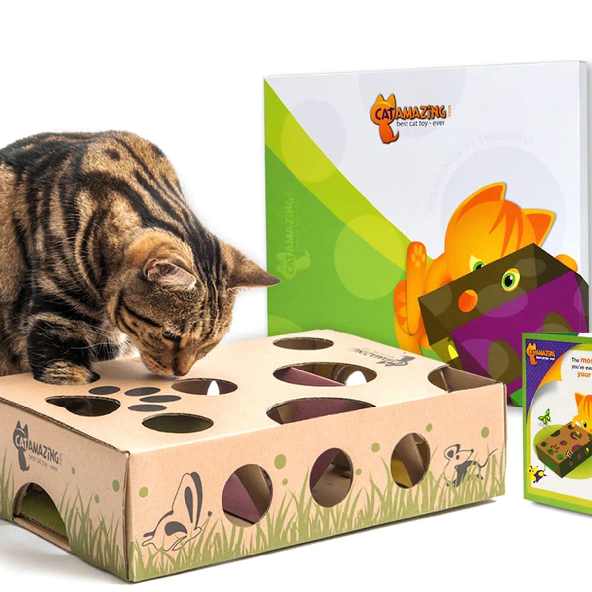 Puzzle Toys by Cat Amazing