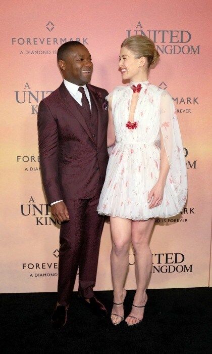 February 6: Rosamund Pike in Giambattista Valli coordinated looks with her <i>United Kingdom</i> co-star David Oyelowo during the film's premiere in NYC.
Photo: D Dipasupil/FilmMagic