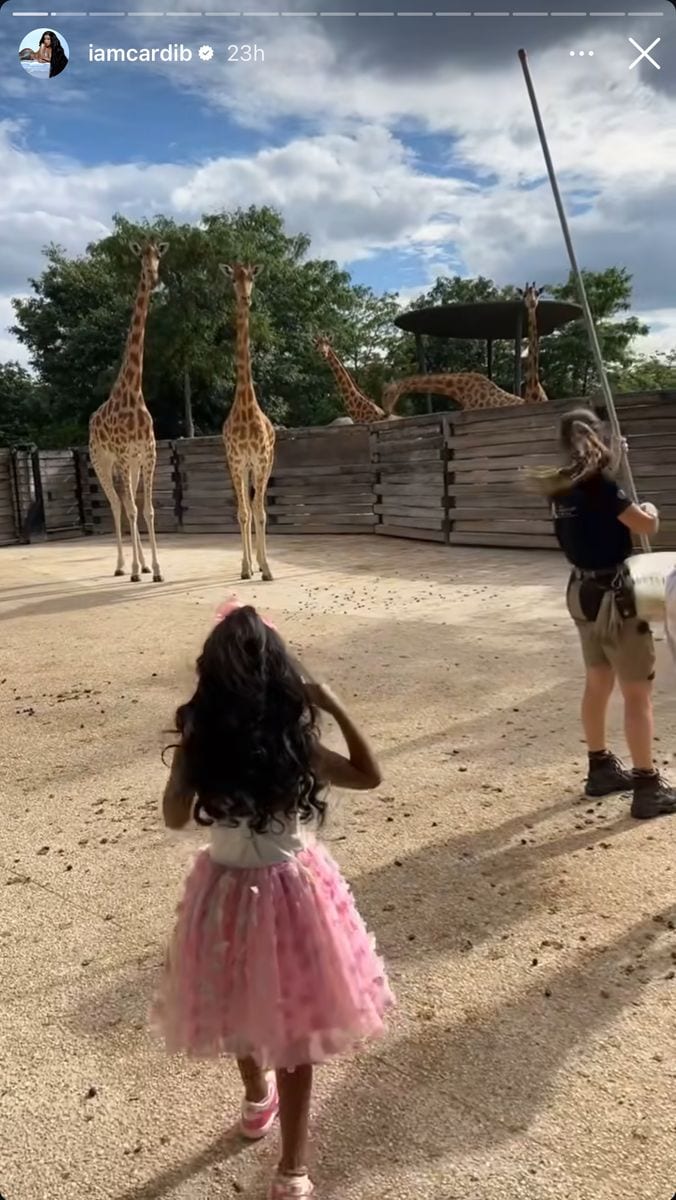 Cardi B celebrates daughter Kulture's sixth birthday with zoo trip and lavish dinner