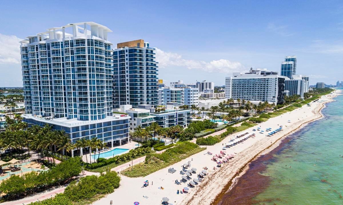 Miami Beach, Florida, aerial view of waterfront buildings with Sargassum, smelly seaweed that's been traversing the Atlantic Ocean in massive clumps