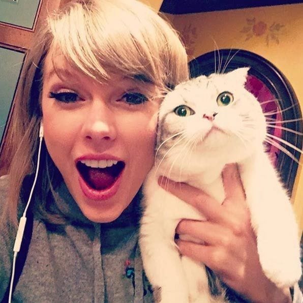 Taylor received 2.4 million likes when she shared an image from her reunion with cat Meredith Grey the same number Kim Kardashian received for her wedding photo with Kanye West.
<br>Photo: Instagram/@taylorwsift