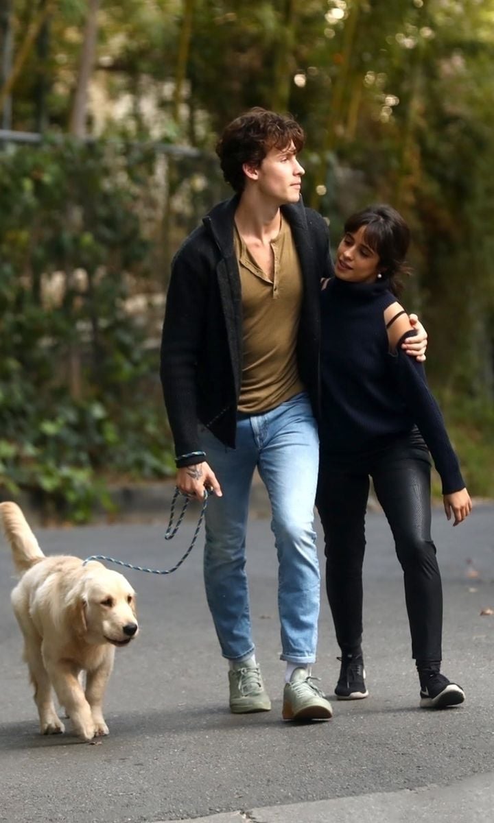 Shawn Mendes and Camila Cabello walking their dog