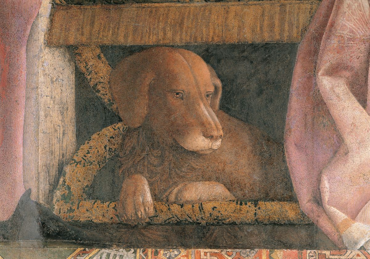 Italy. Lombardy. Mantua. Ducal Palace. North wall or the chimney wall. The Court. Detail of the dog Rubino curled up under the armchair of the Marquis brown pink