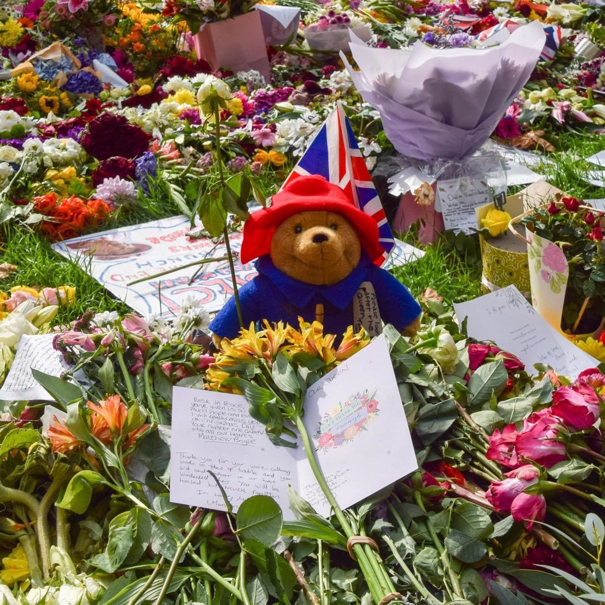 A Paddington Bear toy sits among the floral tributes for the