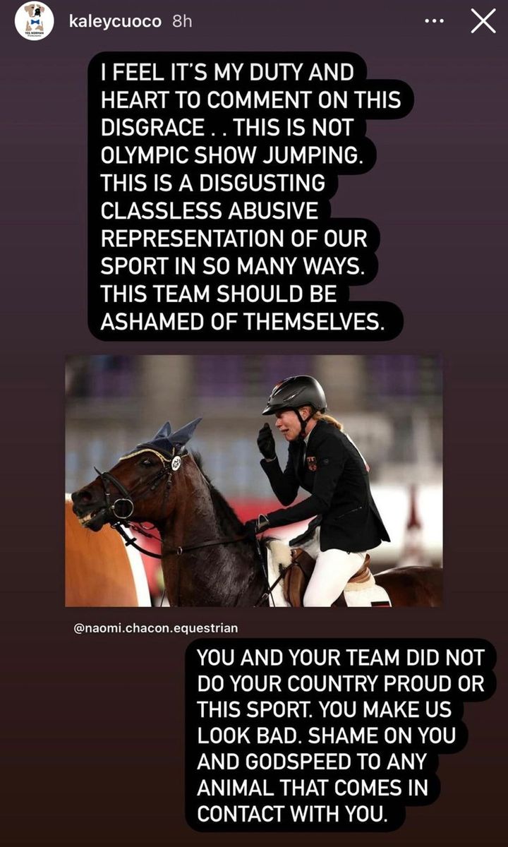 Kaley Cuoco offers to buy the horse that was punched at the Olympics