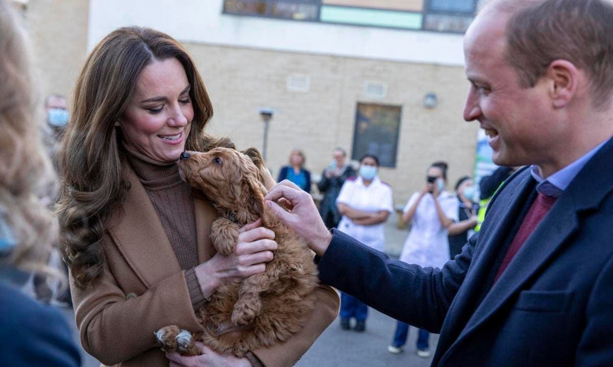 Britain's Catherine, Duchess of Cambridge, watched by her husband Britain's Prince William, Duke of Cambridge, holds a therapy puppy, before unveiling it's name, Alfie, to members of staff during their visit to Clitheroe Community Hospital in north east England on January 20, 2022. - The puppy, funded through the hospital charity ELHT&Me using a grant from NHS Charities Together, will be used to support the wellbeing of staff and patients at the hospital. (Photo by James Glossop / POOL / AFP) (Photo by JAMES GLOSSOP/POOL/AFP via Getty Images)