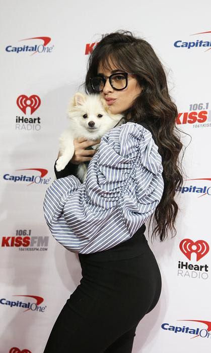 Camila Cabello and puppy walk Jingle Ball red carpet