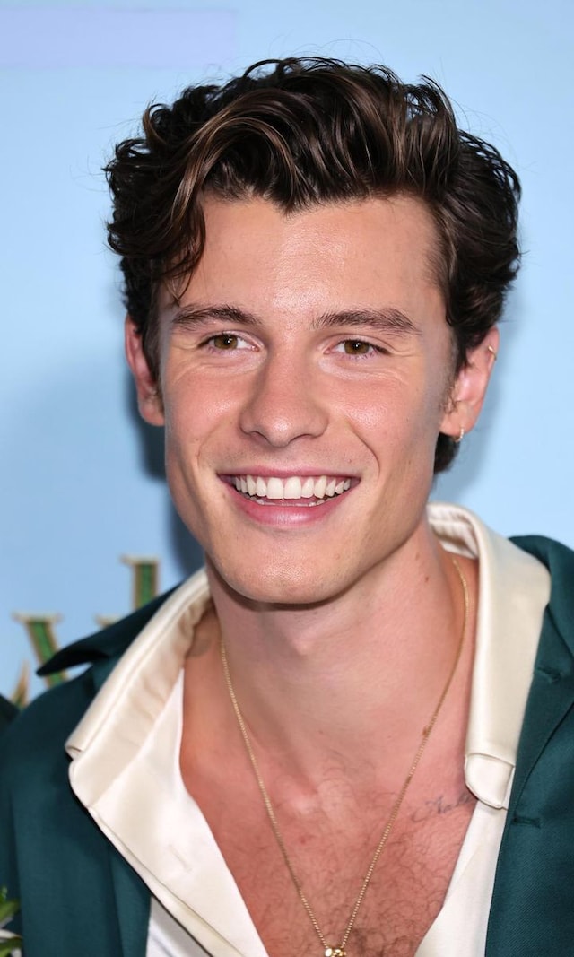 Shawn Mendes has a funny ‘Family Guy’ cameo