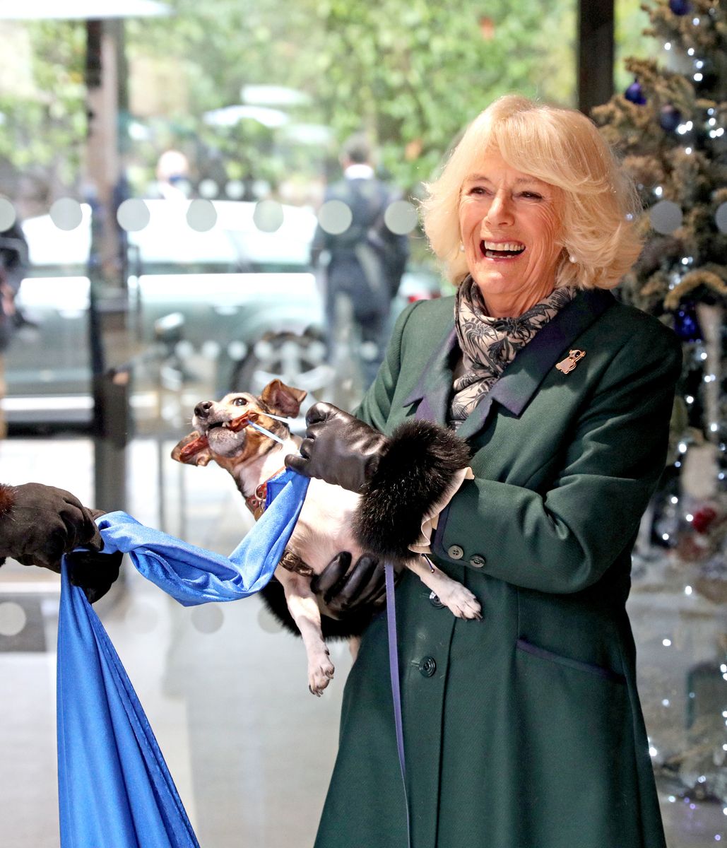 The Queen pictured with her rescue dog Beth in December 2020