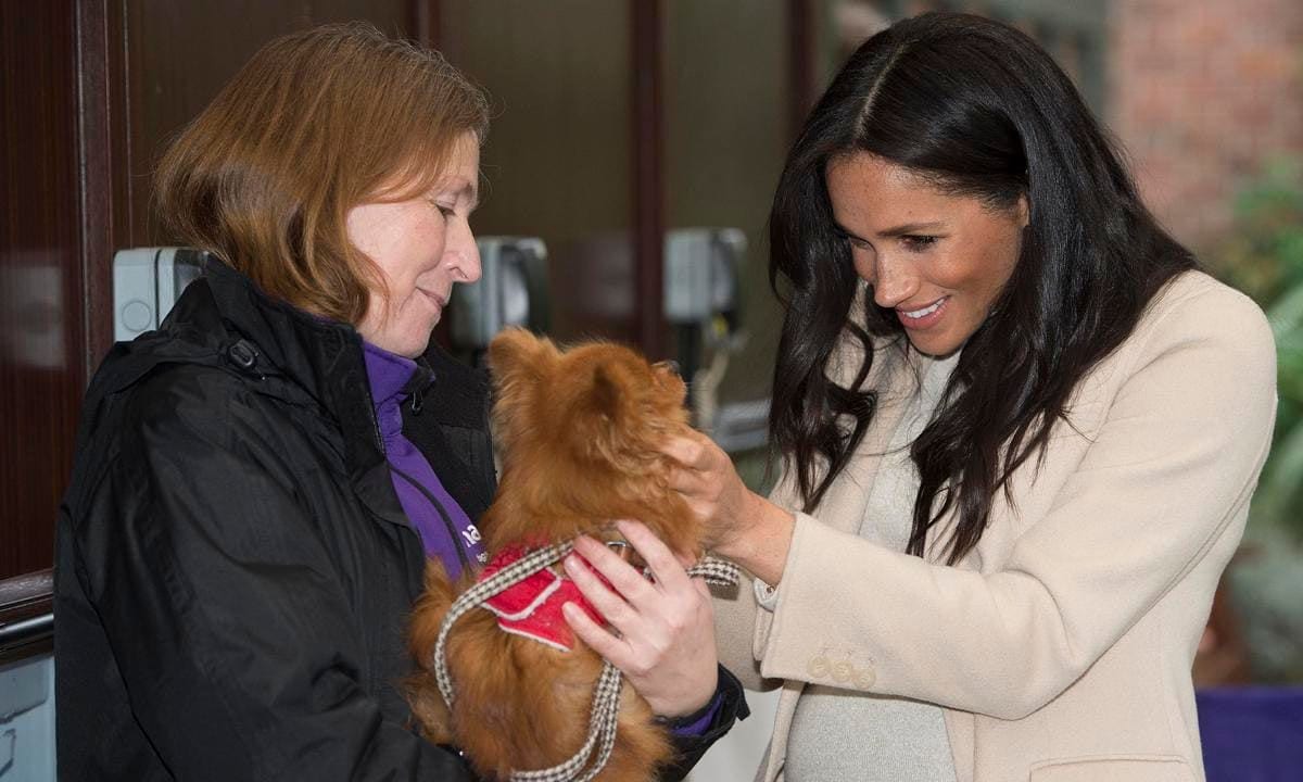 Meghan Markle became patron of Mayhew in 2019