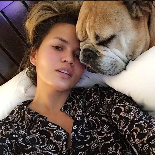 Lounging around makeup free with a top knot and our canine BFF - we can all relate to Chrissy Teigen!
<br>
Photo: Instagram/@chrissyteigen