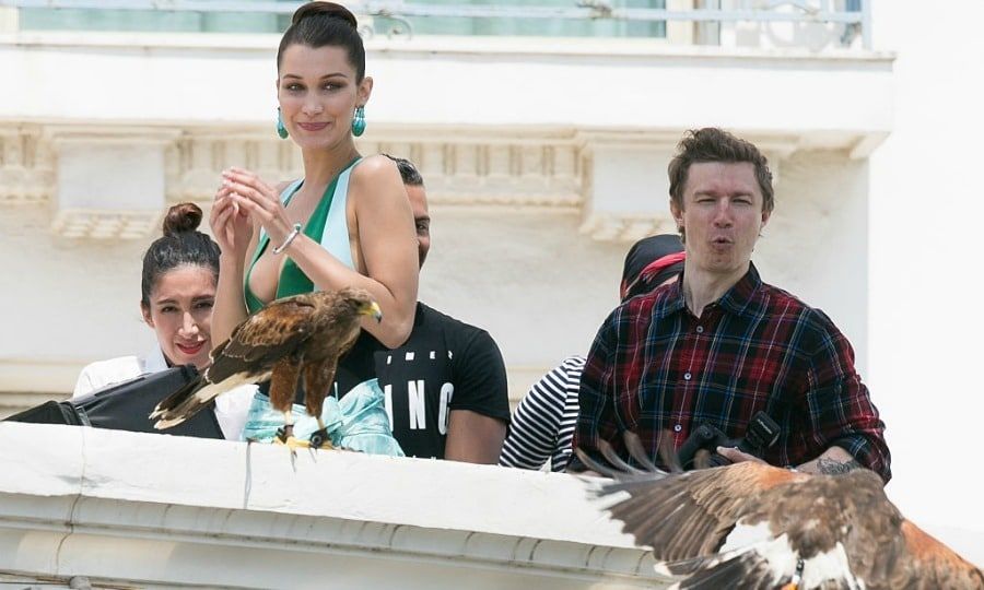 Bella and the birds? The brunette bombshell had a photo shoot crasher while on set at the Grand Hyatt Martinez Hotel in Cannes.
<br>
Photo: GC Images