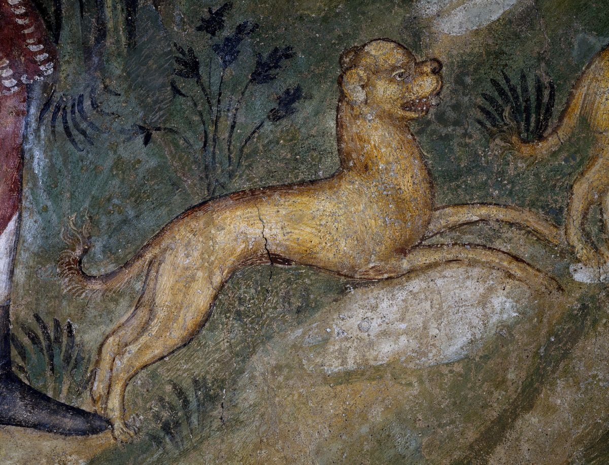 ITALY - CIRCA 2003: A dog, fresco, Villa Borromeo hunting lodge, Oreno, Vimercate, Lombardy. Detail. Italy, 15th century. (Photo by DeAgostini/Getty Images) 