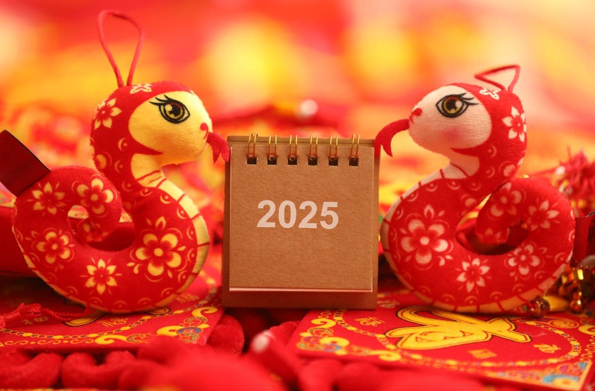 2025 Chinese Zodiac Signs set for success and those that may face