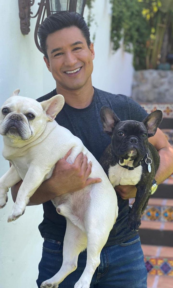 mario lopez dogs