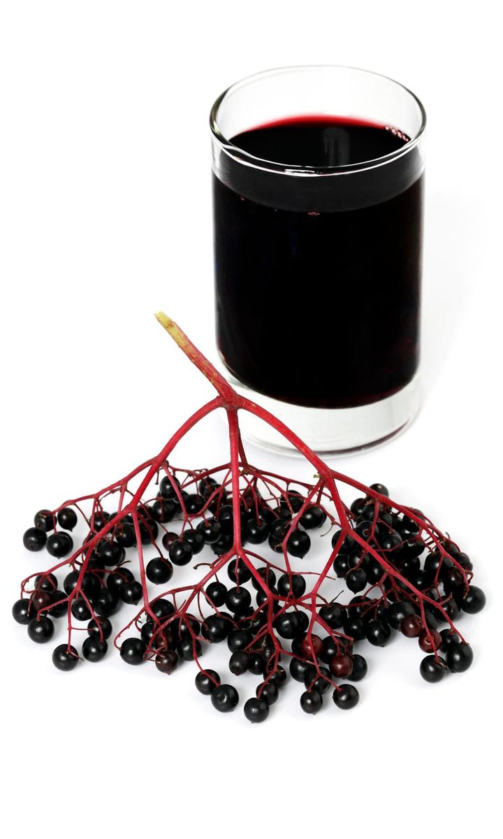 elderberry syrup