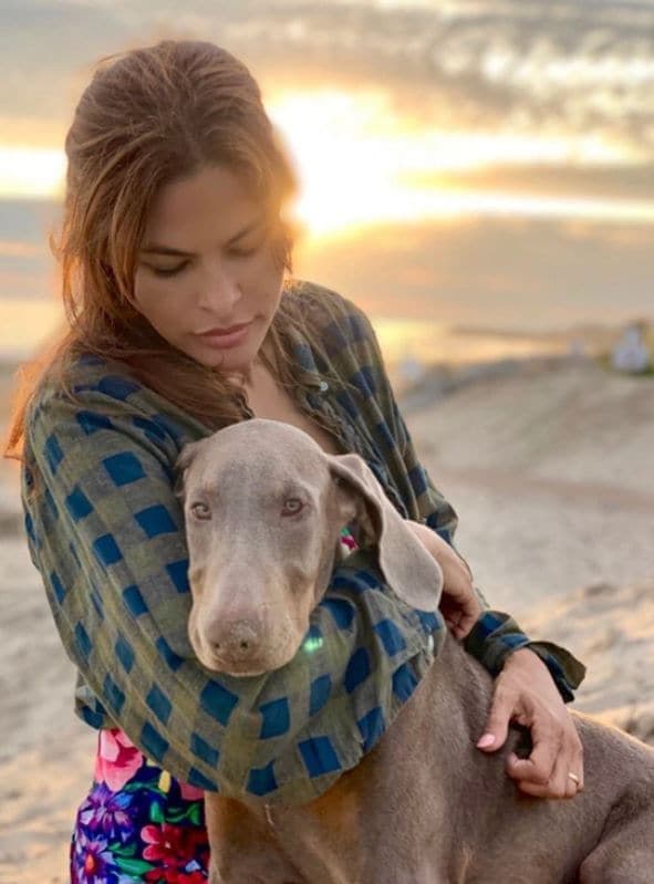 Eva Mendes new dog Lucho