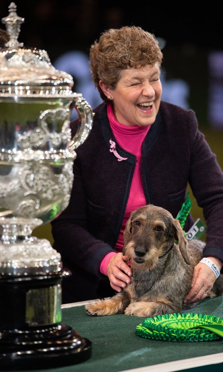 Crufts 2020  Final Day