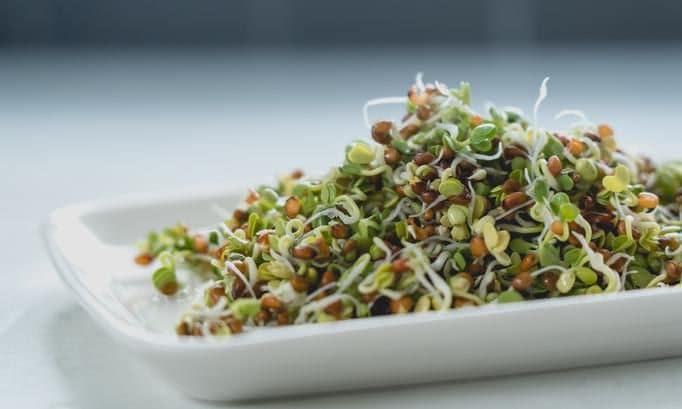 Salad with green sprouts served on a white plate