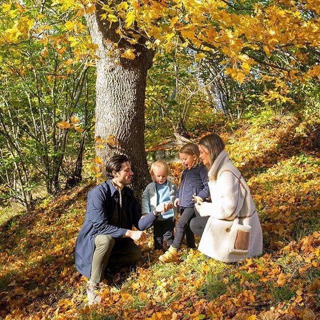 Prince Carl and Princess Sofia's sons were removed from Sweden's royal house