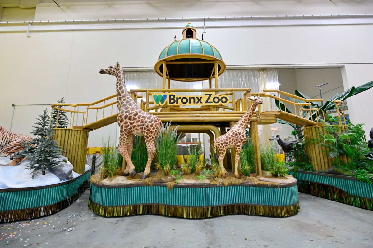 MOONACHIE, NEW JERSEY - NOVEMBER 19: The Wondrous World of Wildlife float by The Bronx Zoo is seen during the Macy's Thanksgiving Day Parade Studio Day 2024 on November 19, 2024 in Moonachie, New Jersey. The iconic Bronx Zoo is celebrating its beloved animals & naturalistic exhibits that have amazed & delighted guests for the past 125 years. From Amur tigers to western lowland gorillas to giraffes, these are just some of the extraordinary creatures you can encounter on your next visit to the Bronx Zoo in New York City. Each animal featured on the float was meticulously designed to be the same size as their real-life counterparts. (Photo by Eugene Gologursky/Getty Images for Macy's)