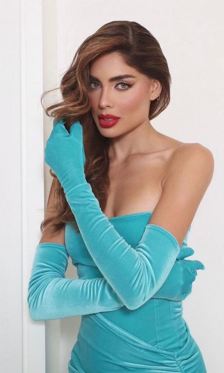 Miss Universe Colombia 2023, Camila Avella