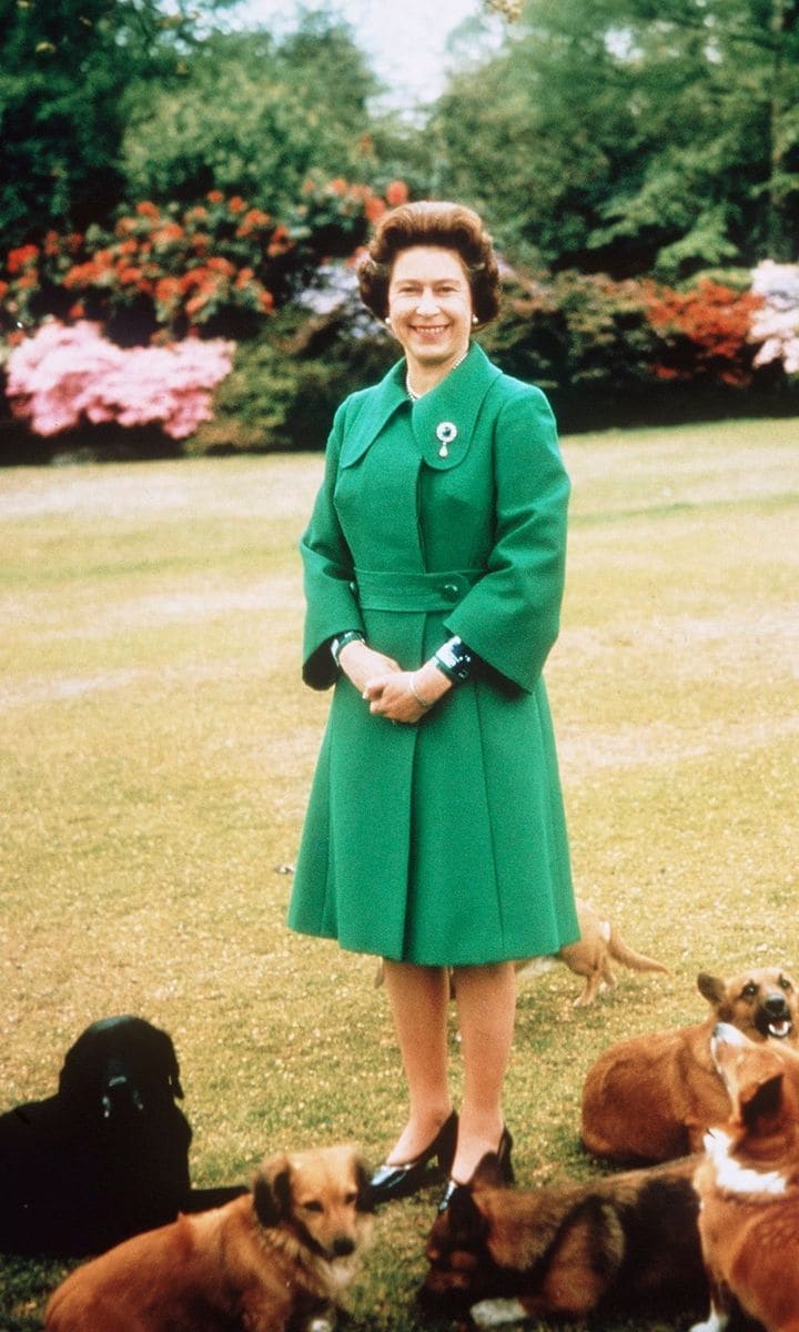 Her Majesty is known for her love of dogs