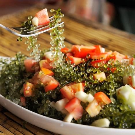 Fork and kahi-nam salad with grapes, apples, and tomatoes, served on a white plate