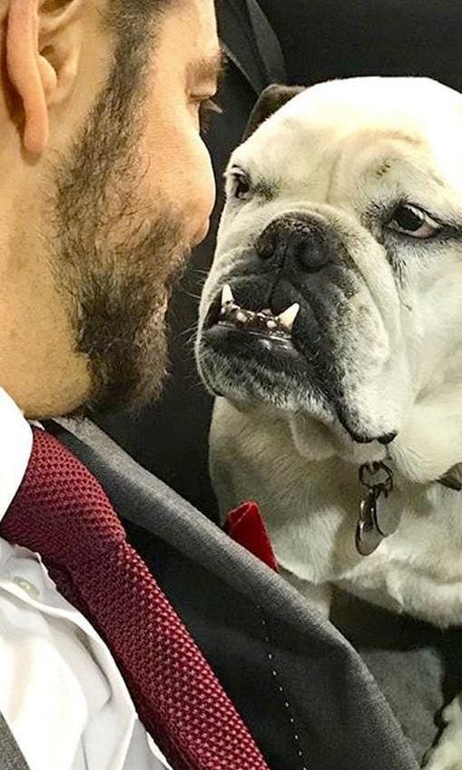 Eugenio Derbez y su perrita Fiona