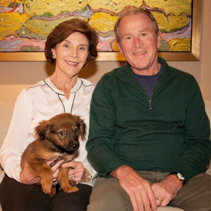 The Bush family has a new addition! Former President George W. Bush took to his Instagram to introduce his and First Lady Laura Bush's newly adopted puppy named Freddy. "@laurawbush and I are thrilled to introduce the newest member of our family, Freddy Bush. We visited the @spcatexas' Jan Rees-Jones Animal Care Center last Tuesday to thank them for their great work and came home with a puppy," the former commander-in-chief attached to the post.
He added, "We already love him, and even our cats Bob and Bernadette are finding Freddy's charm futile to resist. If you could use a little extra joy in your life, consider adopting a pet from an animal shelter or rescue group."
Photo: Instagram/@georgewbush